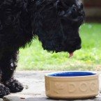 Dog Bowl Cane Blue 18 cm