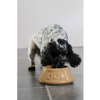 Dog Bowl Cane Taps