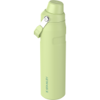 IceFlow Fast Flow Bottle 0,6 Citron