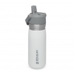 The IceFlow Flip Straw Water Bottle 0,65L Polar