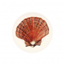 6 1/2 Inch Plate Scallop Shell