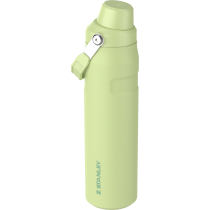 IceFlow Fast Flow Bottle 0,6 Citron