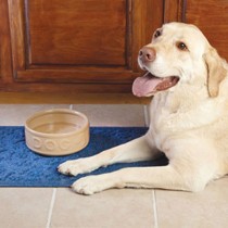 Dog Bowl Cane 18cm