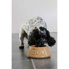 Dog Bowl Cane Taps