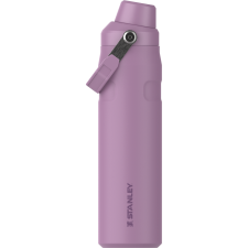 IceFlow Fast Flow Bottle 0,6 Lilac