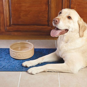 Dog Bowl Cane 18cm